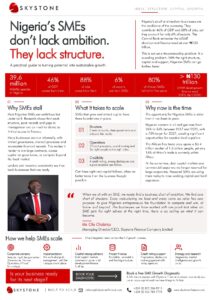 Skystone-Advisory-Publication.pdf
